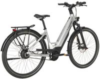 E-Courier Plus Forma_23_46_Electric Silver rear MY23